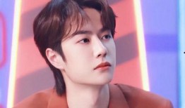 娱乐圈爆料肖战王一博,娱乐圈的神秘搭档，友情与合作的火花