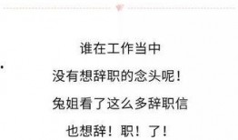 娱乐吃瓜酱辞职信,揭秘背后原因与行业影响