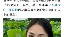 樊小慧爆料的视频大全,揭秘事件背后真相