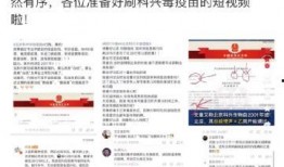 爆料北京科兴段子视频,一场网络爆笑狂欢背后的真相