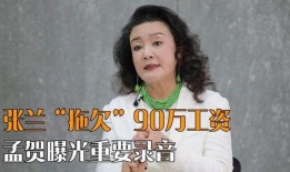 张兰最新爆料录音在线听,商业帝国背后的真相与争议