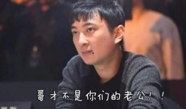 爆料王思聪联姻视频大全,视频大全背后的豪门秘事