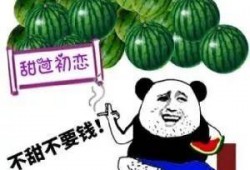 免费吃瓜买一个送一个,免费吃瓜，买一送一，共享甜蜜时光