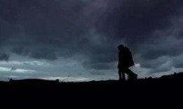 九首歌在线观看,在线观看，感受音乐的力量