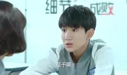 爆料王源王俊凯视频大全,揭秘兄弟情深与青春风采