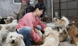 狗狗救助站爆料视频下载