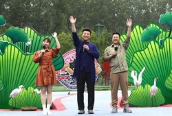 阿福最近的直播爆料视频,独家爆料带你探秘娱乐圈幕后