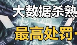 大新闻最新爆料视频播放