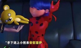 小熊爆料女王视频大全,揭秘视频大全背后的精彩瞬间