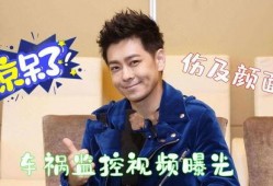 林志颖被爆料视频最新,真相与争议交织”