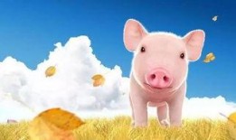 吃瓜猪娱乐新型道歉方式,新型道歉方式席卷娱乐圈