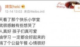 乡村校长爆料视频大全集,揭秘农村教育现状与挑战