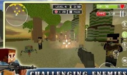 生存游戏在线观看,在线观看，揭秘绝境求生背后的真实挑战