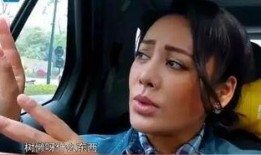 宁静爆料郑爽视频,揭秘娱乐圈背后的真相