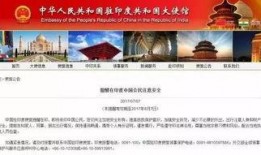 大新闻最新爆料视频播放