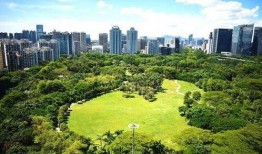 深圳市八卦最新爆料新闻