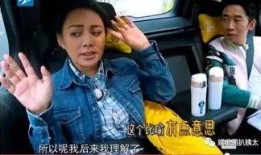 宁静爆料郑爽视频,揭秘娱乐圈背后的真相