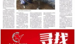 鲁中晨报新闻爆料,揭秘某地重大事件背后真相