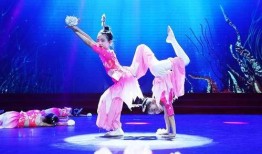 李家印歌舞团爆料视频大全,揭秘幕后的精彩瞬间