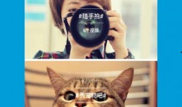 精选视频爆料大全下载软件,一键获取热门视频，畅享娱乐盛宴