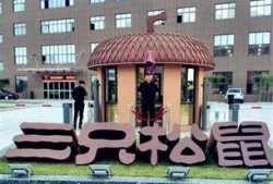 三只松鼠最新爆料新闻,揭秘品牌新动向与市场策略