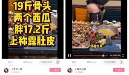 大王爆料青岛事件视频播放,真相与争议交织