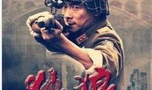 电视剧独狼全集在线观看,孤胆英雄的生死较量