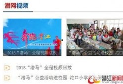 沈阳精彩爆料新闻视频回放,揭秘精彩爆料背后的真相