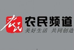 河北农民频道新闻爆料,揭秘农村民生问题背后的真相