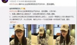 景宁新闻爆料事件视频,视频揭露惊人真相
