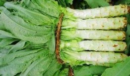 原神莴苣妈妈爆料视频在哪看,原神莴苣妈妈爆料视频观看指南