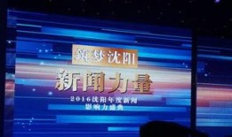 沈阳精彩爆料新闻视频回放,揭秘精彩爆料背后的真相