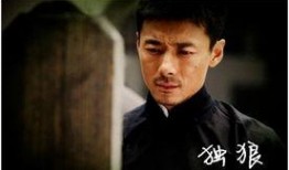 电视剧独狼全集在线观看,孤胆英雄的生死较量