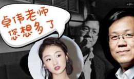 谁爆料王力宏离婚的视频,神秘视频揭露婚姻破裂内幕