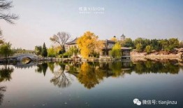 天津公园爆料视频大全集,探寻城市绿洲中的精彩瞬间