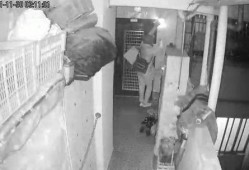 广州李先生最新爆料,揭秘某神秘事件背后真相