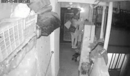 广州李先生最新爆料,揭秘某神秘事件背后真相