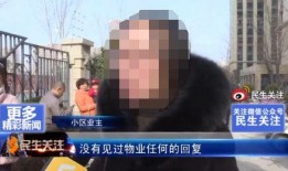 石家庄家庭爆料事件视频,揭秘惊人真相