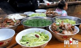 天天有大瓜天天免费吃豆花视频,天天大瓜，免费畅享