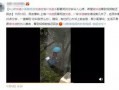 快递爆料小哥视频播放,视频播放火爆全网！