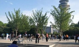 天津公园爆料视频大全集,探寻城市绿洲中的精彩瞬间