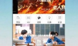 321在线观视频免费观看