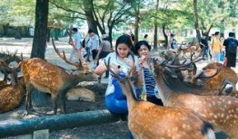 鹿鹿娱乐吃瓜,揭秘娱乐圈最新“吃瓜”事件