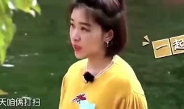 娱乐圈周六爆料的明星,神秘明星身份揭晓，真相令人震惊！