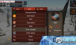 生存游戏在线观看,在线观看，揭秘绝境求生背后的真实挑战