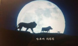 电影lion在线观看,重寻故土的感人之旅