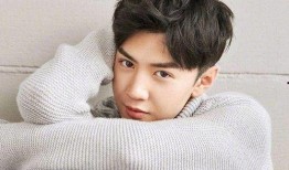 娱乐圈爆料沈月陈哲远,娱乐圈新恋情引热议