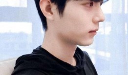 娱乐圈爆料肖战王一博,娱乐圈的神秘搭档，友情与合作的火花