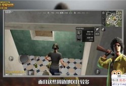 爆料求关注的视频,独家爆料带你关注幕后故事