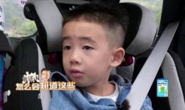 爸爸闭翳在线观看,揭秘家庭情感纠葛的温情之作